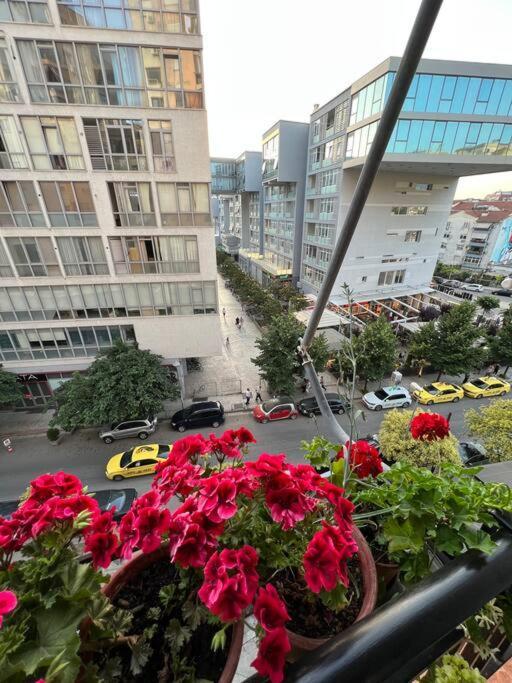 Mimosa'S Apartment With Lovely Balcony Tiranë Luaran gambar